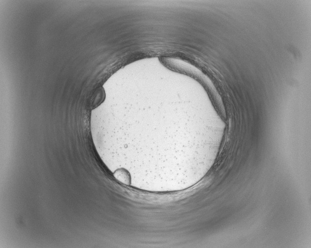 X0000116150048200912211517