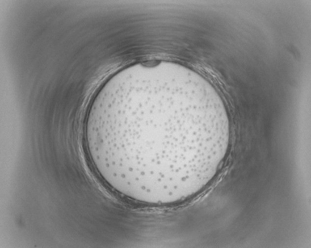 X0000116150049200912211516