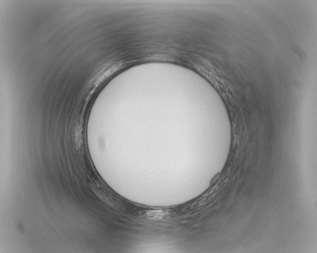 X0000116150050200912211516