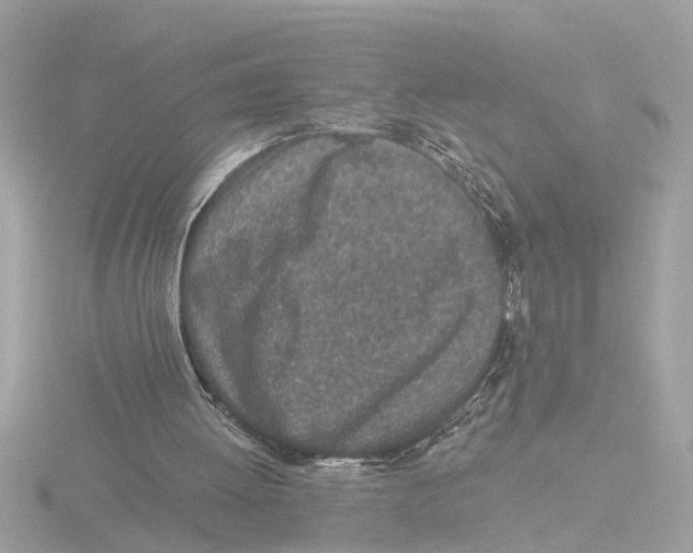 X0000116150052200912211516