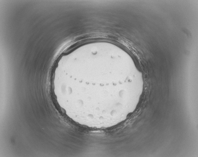 X0000116150053200912211516