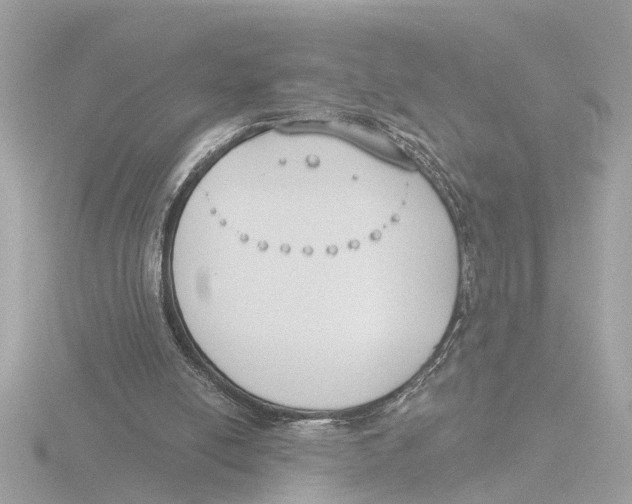 X0000116150054200912211516