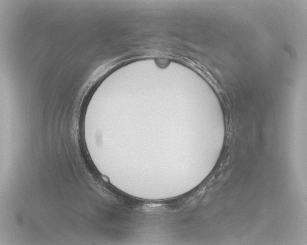 X0000116150055200912211516