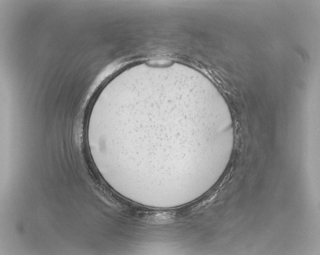 X0000116150056200912211517