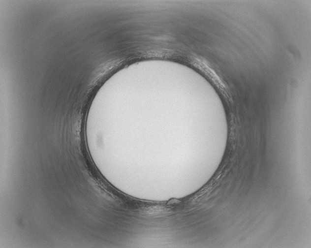 X0000116150058200912211517