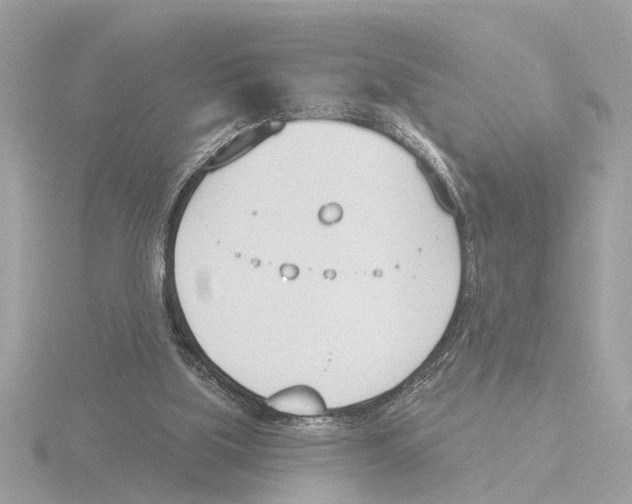 X0000116150059200912211517