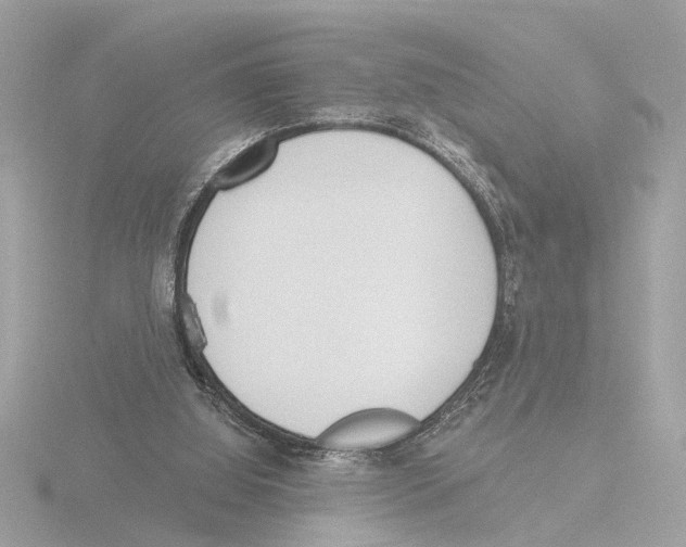 X0000116150060200912211517