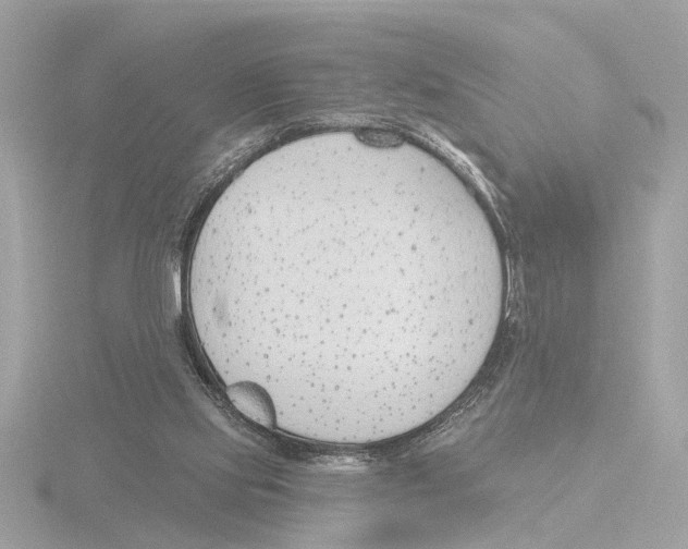 X0000116150061200912211517