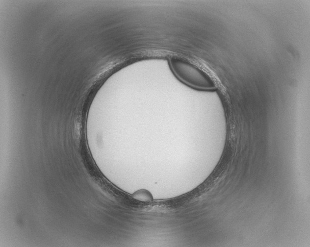 X0000116150063200912211517