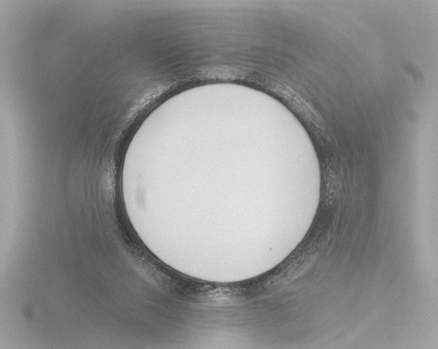 X0000116150064200912211517