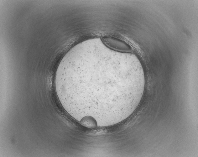 X0000116150065200912211517