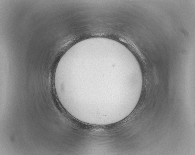 X0000116150066200912211517