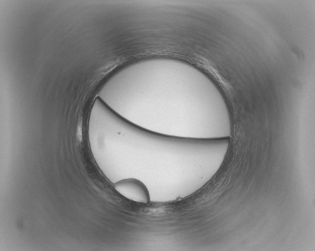 X0000116150068200912211517