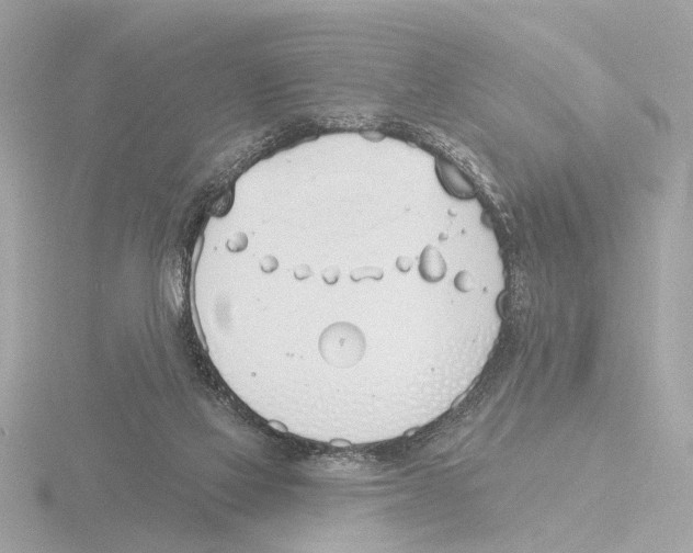 X0000116150069200912211517