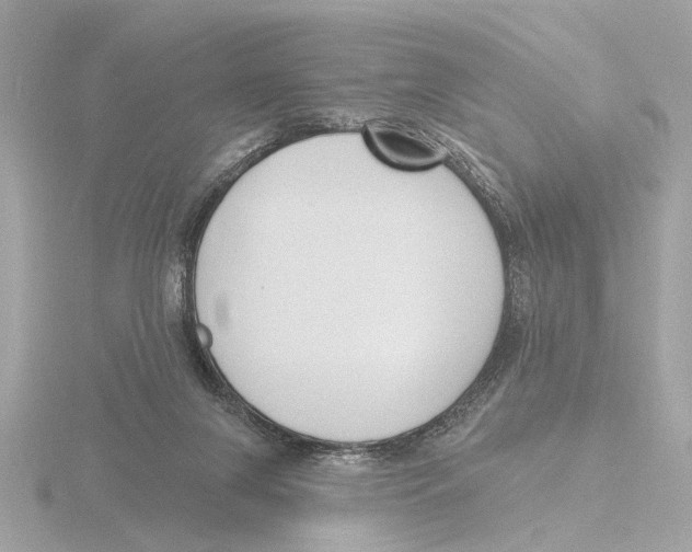 X0000116150071200912211517