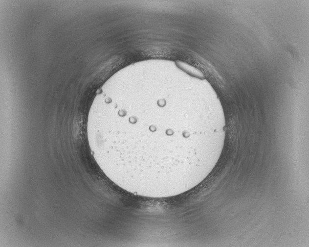 X0000116150073200912211517