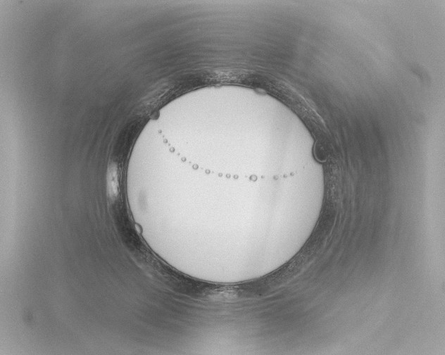 X0000116150075200912211517