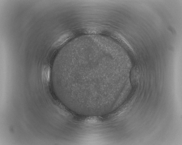 X0000116150076200912211517