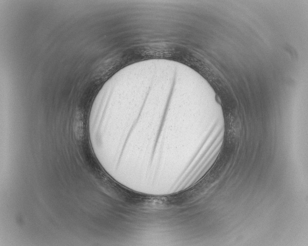 X0000116150080200912211517