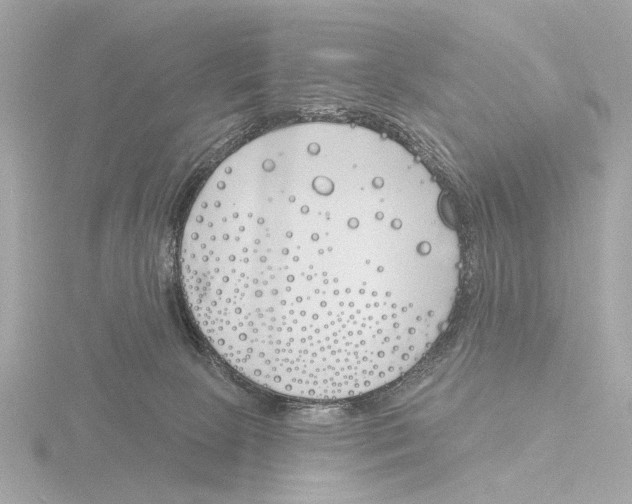 X0000116150081200912211517