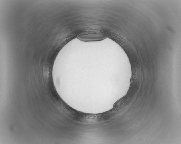 X0000116150084200912211517