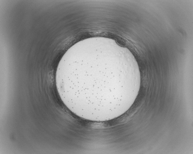 X0000116150085200912211517