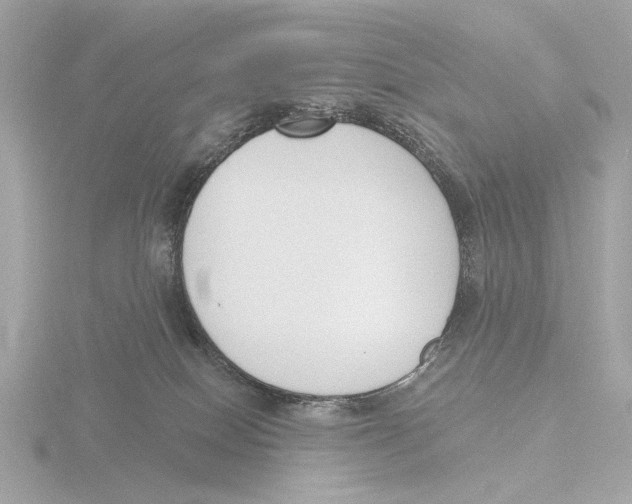 X0000116150086200912211517