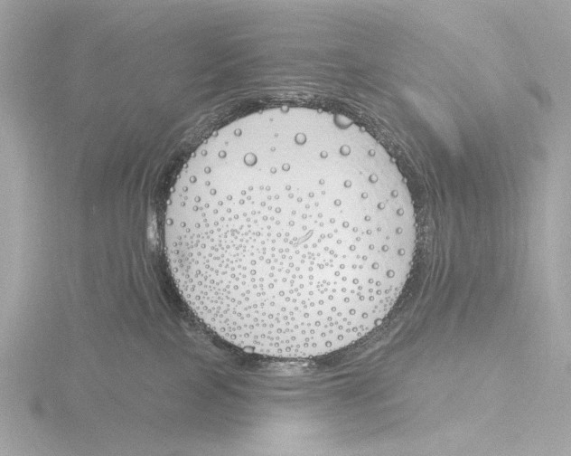 X0000116150089200912211517