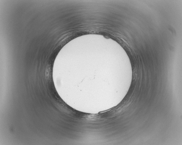 X0000116150092200912211517