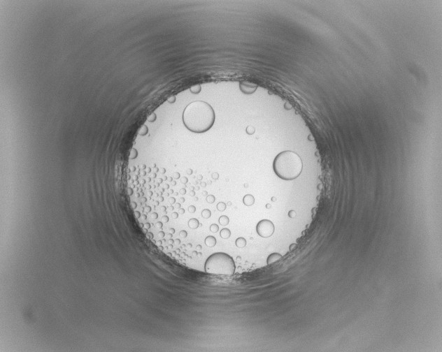 X0000116150093200912211517