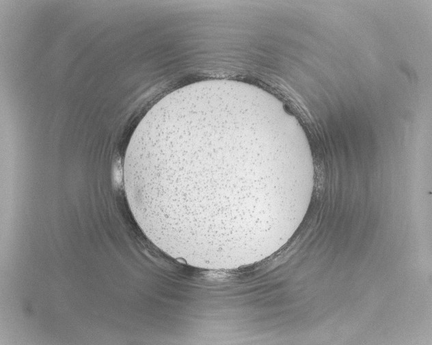 X0000116150095200912211517