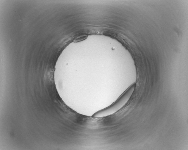 X0000116150096200912211517