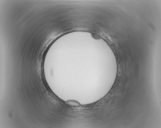 X0000116150098200912211516