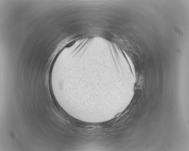 X0000116150099200912211516