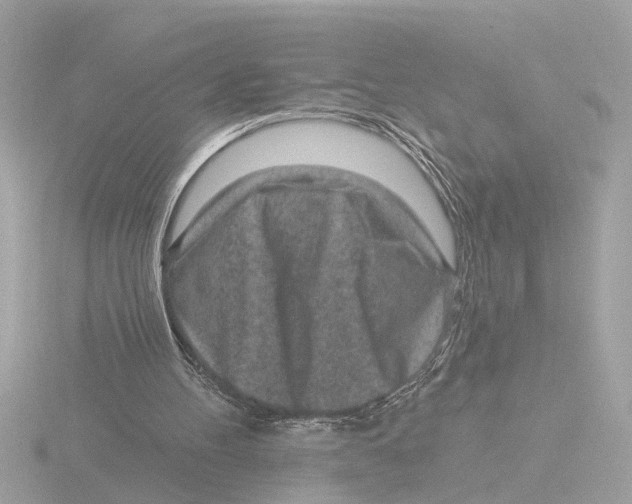 X0000116150100200912211516