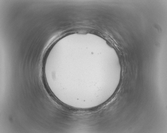 X0000116150101200912211516