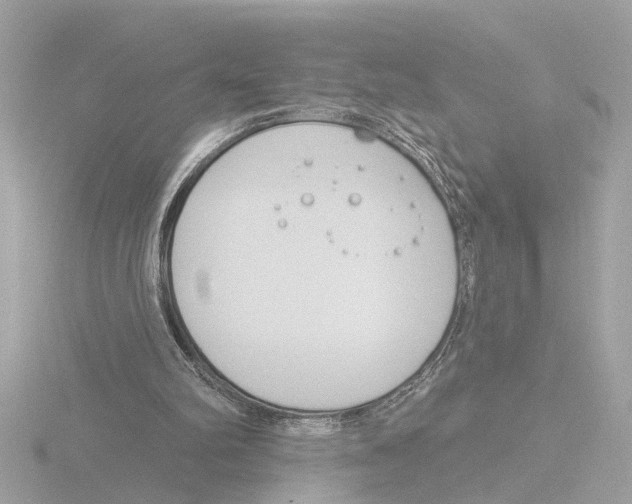 X0000116150102200912211516