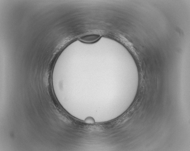 X0000116150106200912211516