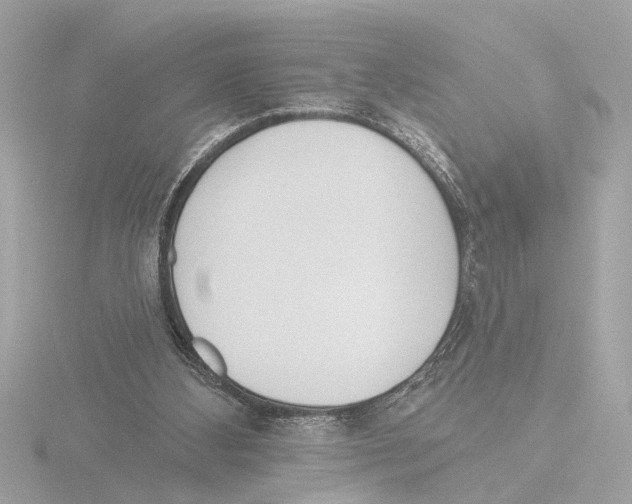 X0000116150108200912211516