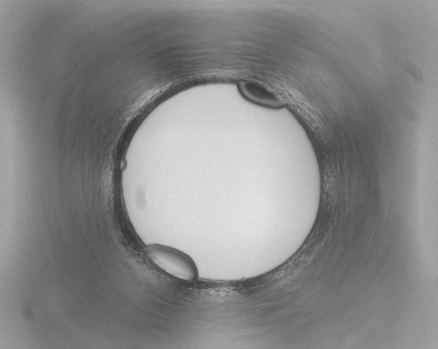 X0000116150112200912211516