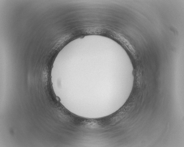 X0000116150113200912211516