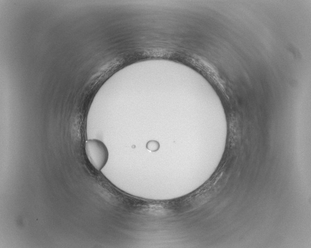 X0000116150114200912211516