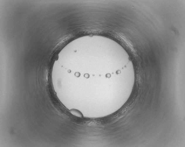 X0000116150115200912211516