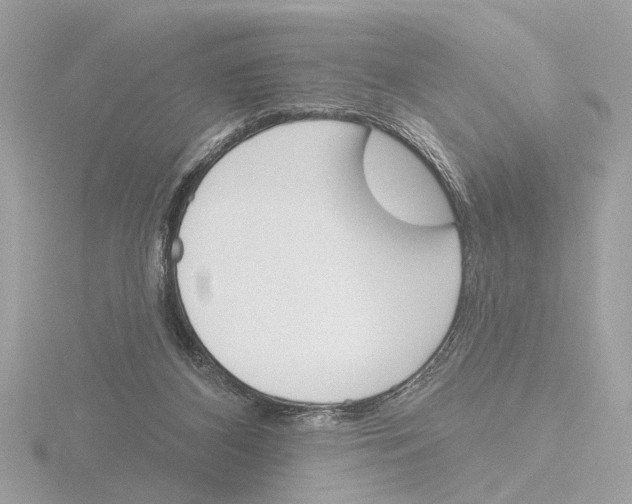 X0000116150116200912211516