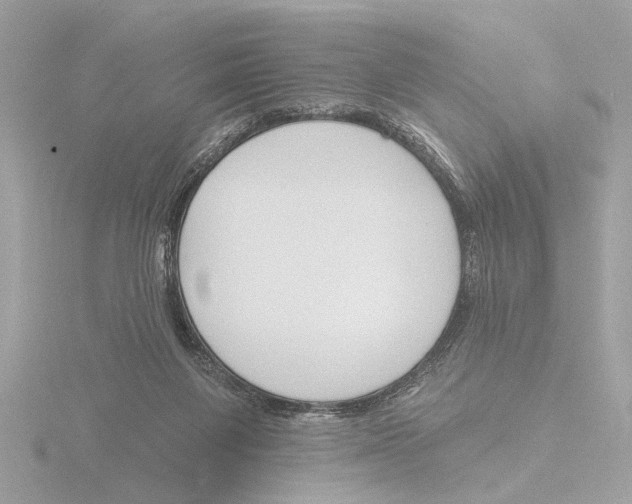 X0000116150119200912211516