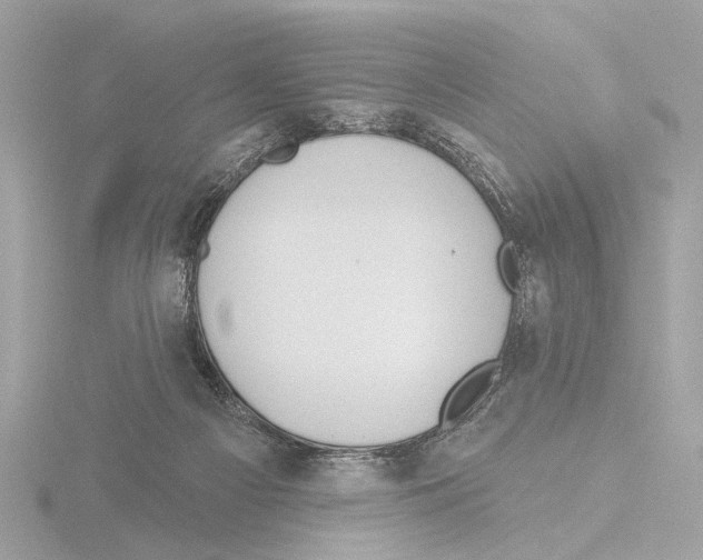 X0000116150121200912211516