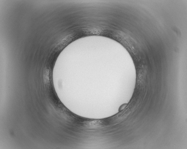 X0000116150122200912211516