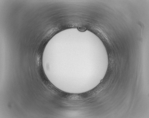 X0000116150123200912211516