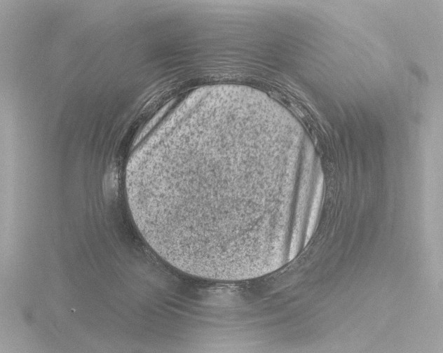 X0000116150124200912211516