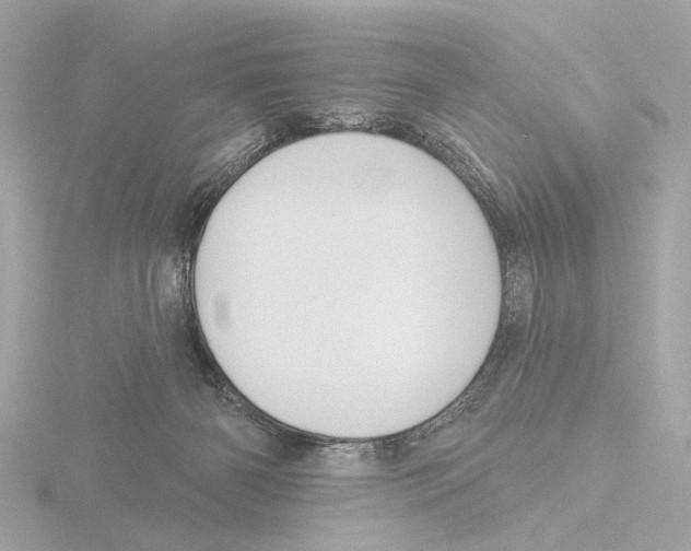 X0000116150126200912211516